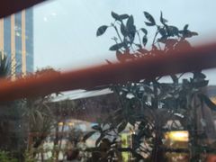 -La Terre乐田(万象城店)