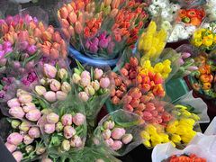 -循礼门鲜花花市(武汉循礼门店)