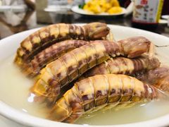 濑尿虾-蚝专家(北滘店)