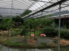 -无锡动物园·太湖欢乐园
