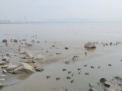 -深圳湾公园(南山区)