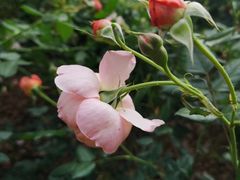 -人民公园(罗湖区)