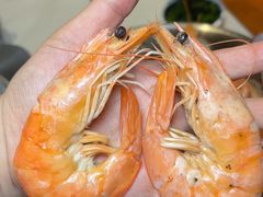 -渔港甄宴·海鲜·地标烟台菜(金沙滩店)