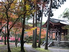 -醍醐寺
