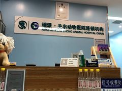 -瑞派·关忠动物医院·异宠专科·犬猫肿瘤·皮肤专科(望京店)