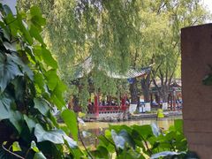 -MAP CHA普洱茶馆(翠湖店)