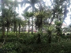 -海口喜来登酒店