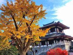 -穹窿山景区