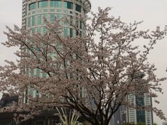 -西北湖绿化广场