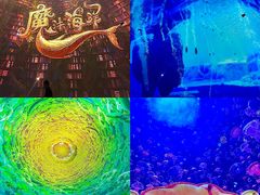 -海合安天津极地海洋公园