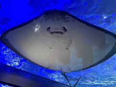 -北海海底世界