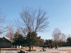 -北坞公园
