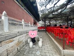 -红螺寺
