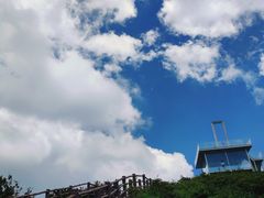 -大围山国家森林公园