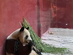 -杭州野生动物世界