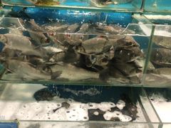 -物美综合超市(旧宫店)