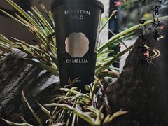 -仙雨林·奶茶鲜果茶(书院巷店)