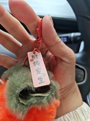 -花师傅