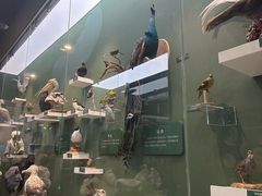 -国家自然博物馆