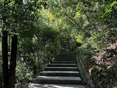 -火炉山森林公园