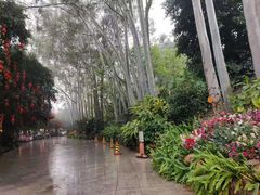 -雁南飞茶田景区