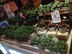 -妃比花艺(光启城时尚购物中心店)