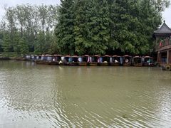 -溱湖国家湿地公园