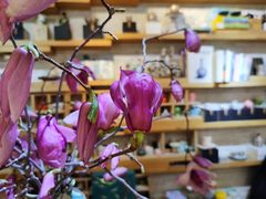 -今日陶艺(富力广场店)