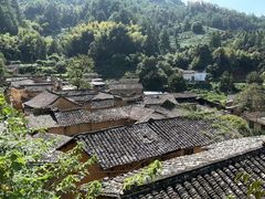 -杨家堂村