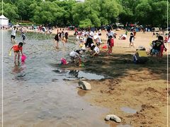 -长春市南湖公园