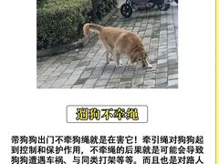 -美联众合动物医院·24h转诊中心