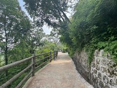 -少华山国家森林公园