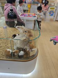 -小象动悟公园(龙湖亦庄天街店)