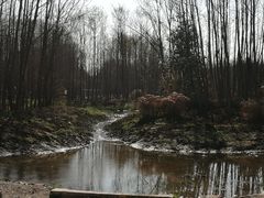 -桤木河湿地公园