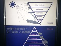 -同济大学四平路校区深海探索馆