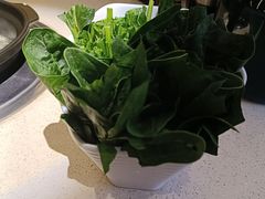 -润泽园椰子鸡(汇一城店)
