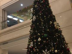 -新君悦国际酒店