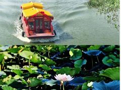 -唆了蜜团建·趣味沉浸式剧情·蹦床轰趴运动拓展基地(天津旗舰店)