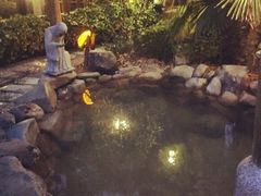 -金凤凰温泉度假村·凤凰汇中餐厅