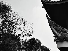 -峨眉山报国寺