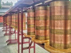 -护国法轮寺