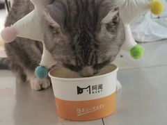 -瑞鹏宠物医院·内科·中兽医·骨科(苗圃店)