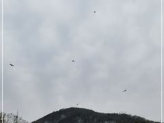 -南山风景名胜区