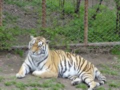 -哈尔滨北方森林动物园