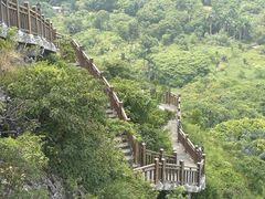 -南宁花花大世界景区