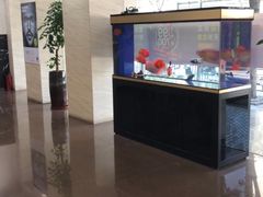 -宝岛眼镜(杭州万塘路旗舰店)