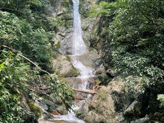 -东天目山风景区