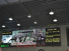 景点-武当山风景区