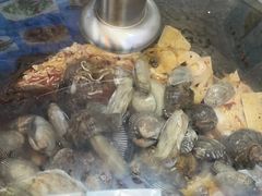 -富临港·蒸汽海鲜·手抓海鲜·炒菜(栈桥店)