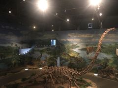 -自贡恐龙博物馆